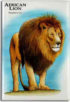 african_lion_6247455343_l