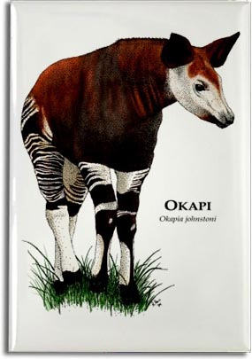 okapi_6247977840_l