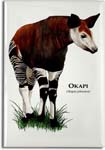 okapi_6247977840_l