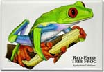 red_eyed_tree_frog_6247180322_l