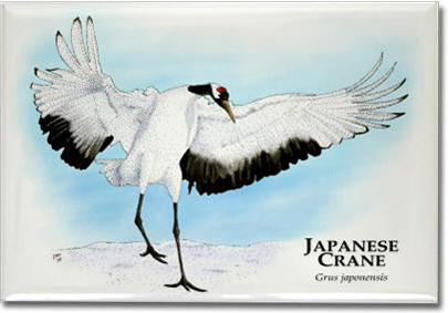japanese_crane_6247416837_l