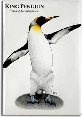 king_penguin_6247416895_l