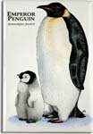 emperor_penguin_6247416747_l