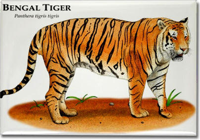 bengal_tiger_6247389017_l