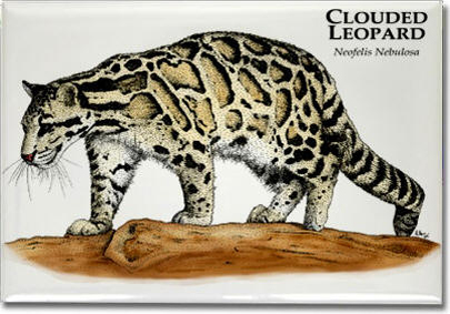 clouded_leopard_6247911206_l