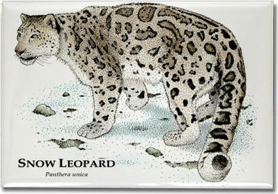 snow_leopard_6247910994_l