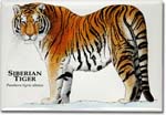 siberian_tiger_6247910956_l