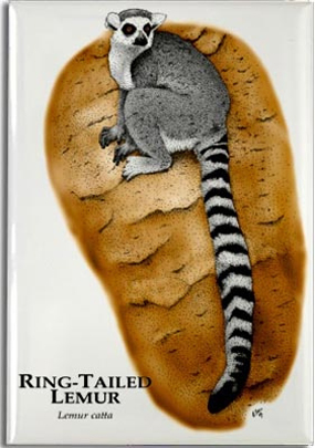 ring_tailed_lemur_6247395767_l