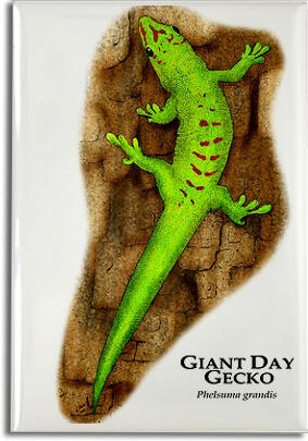 giant_day_gecko_6247013160_l