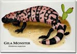 gila_monster_6247011998_l