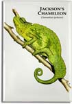 jackson's_chameleon_6247138624_l