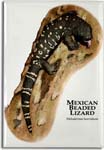 mexican_beaded_lizard_6246616171_l