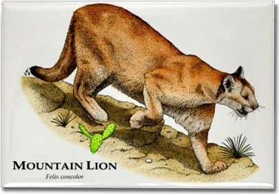 mountain_lion_6247964624_l