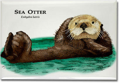 sea_otter_6247442557_l