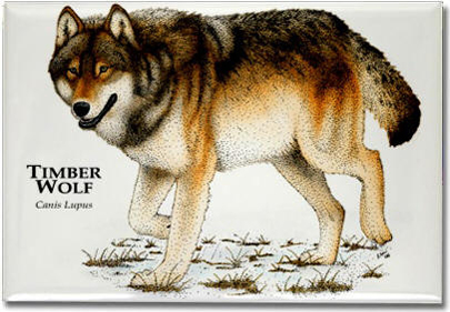 timber_wolf_6247964874_l