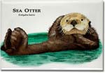 sea_otter_6247442557_l