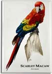 scarlet_macaw_6247424565_l