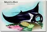 manta_ray-1_6247012618_l