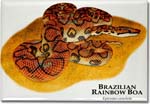 brazilian_rainbow_boa_6246968520_l